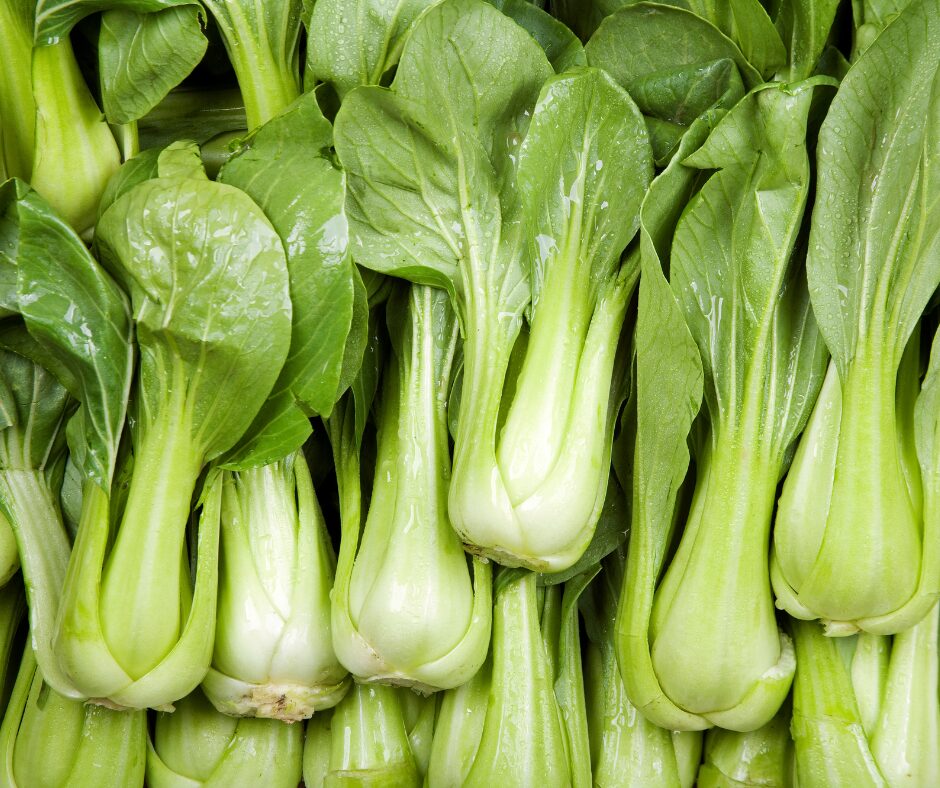 Bok choy